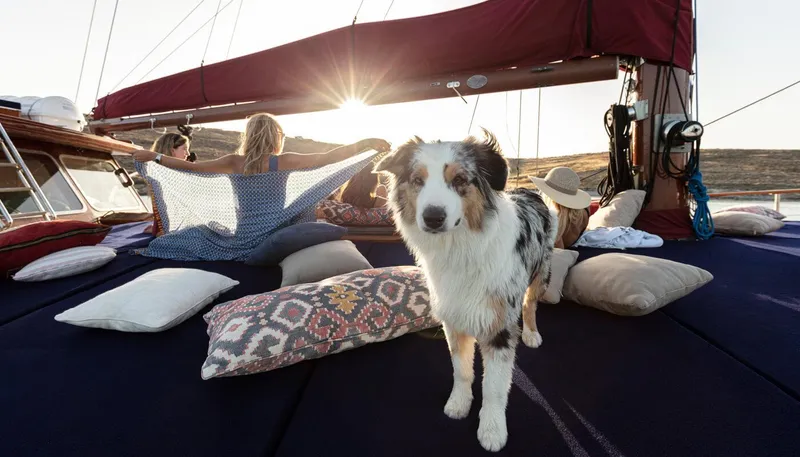 Kaiki Yacht Photos Pics Dog and people relaxing on 1974 Greek traditional sailing yacht deck.