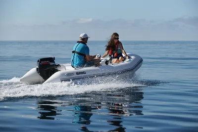 2026 Brig Falcon 330