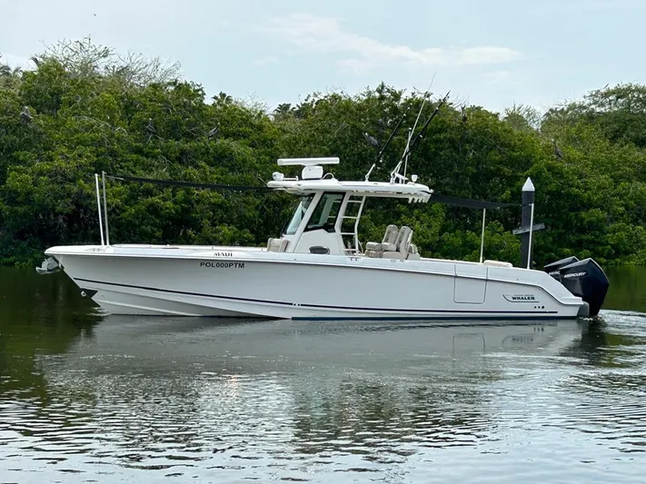 Casa - 2020 Boston Whaler 330 Or @ Vallarta Yacht Photos Pics 