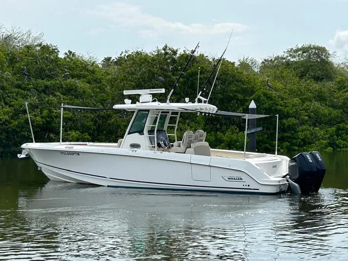 Casa - 2020 Boston Whaler 330 Or @ Vallarta Yacht Photos Pics 