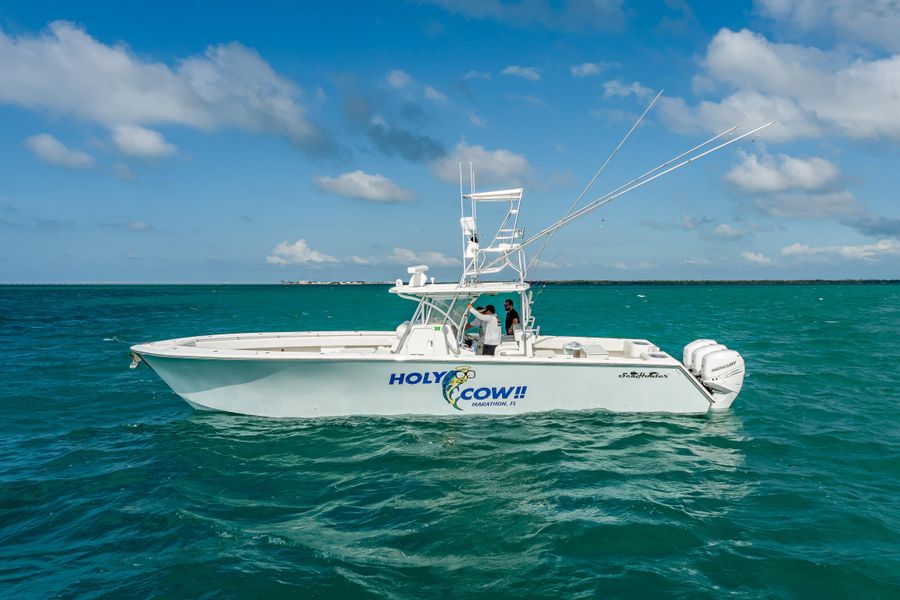 2015 SeaHunter 41 Tournament