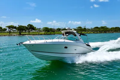 Sea Ray 310 Sundancer