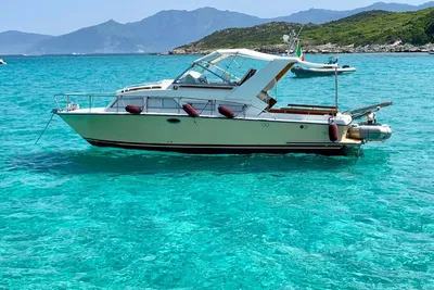 1980 Coronet 32 Ocean Farer Wing