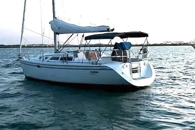 Catalina 320