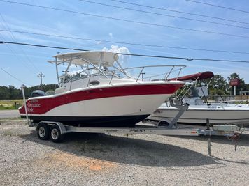Sea Fox 256WA Pro Series