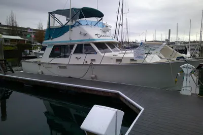 Tollycraft 37' Sedan