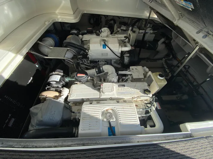 Mojo Risin Yacht Photos Pics 