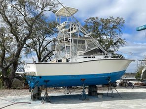 Carolina Classic 28