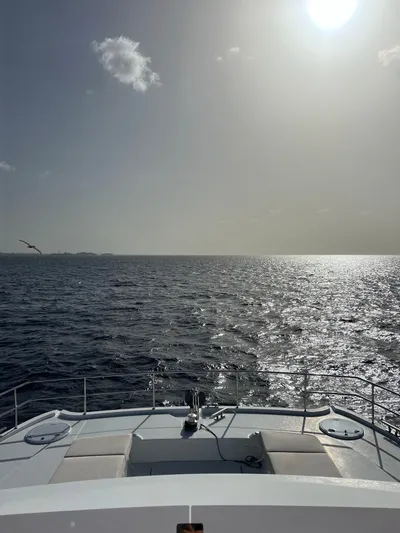 Pheonix Yacht Photos Pics 