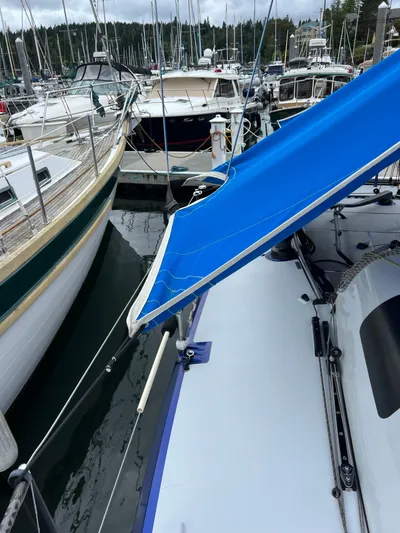 Manifest Yacht Photos Pics 2016 Offshore Racing Van Munster Boats Fred Barrett 35 docked among other sailboats.