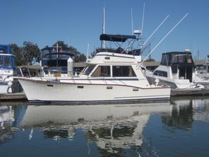 Ventura Sport Fisher