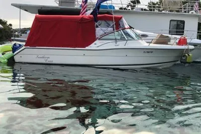 Pursuit 2460 Denali