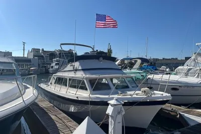 Luhrs Sport Fish