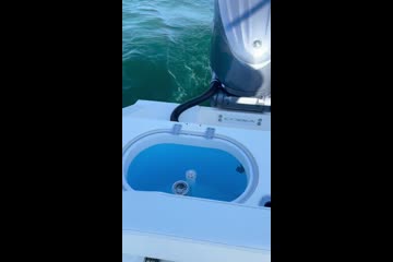Video Placeholder
