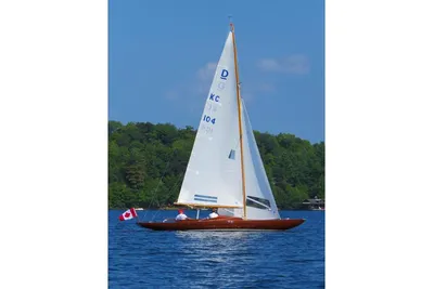 Dragon 29