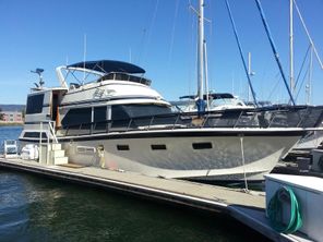 PT Sundeck Trawler