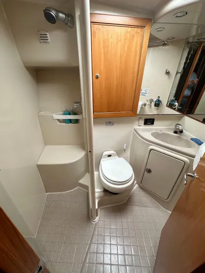 Euphoria Yacht Photos Pics 2003 Riviera 37 Flybridge bathroom with shower, toilet, and sink in compact layout.