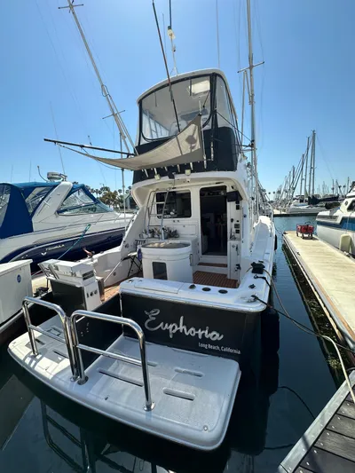Euphoria Yacht Photos Pics 2003 Riviera 37 Flybridge yacht docked at marina, named "Euphoria," with clear blue sky.