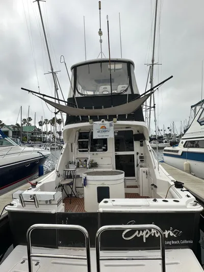 Euphoria Yacht Photos Pics 2003 Riviera 37 Flybridge yacht docked in marina, rear view.