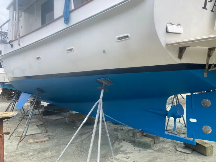 Papillon Yacht Photos Pics 