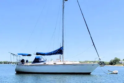 Tartan 37