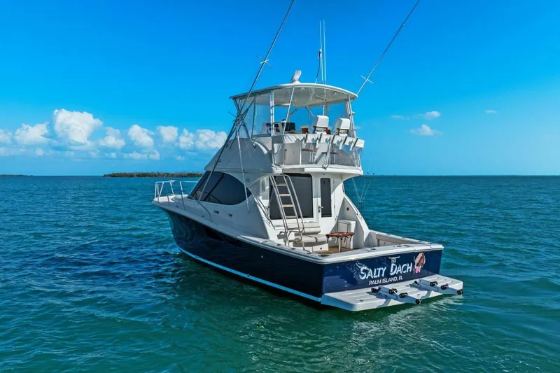 Salty Dach Yacht Photos Pics 2013 Tiara Yachts 3900 Convertible on open sea under clear blue sky.