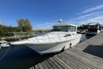 Baha Cruisers 313 Weekender