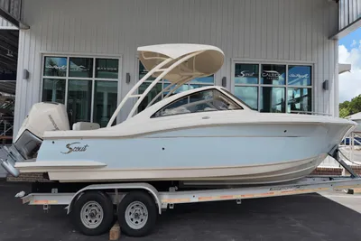 Scout 240 Dorado