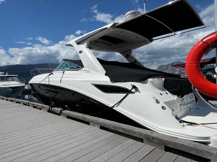Andiamo Yacht Photos Pics 
