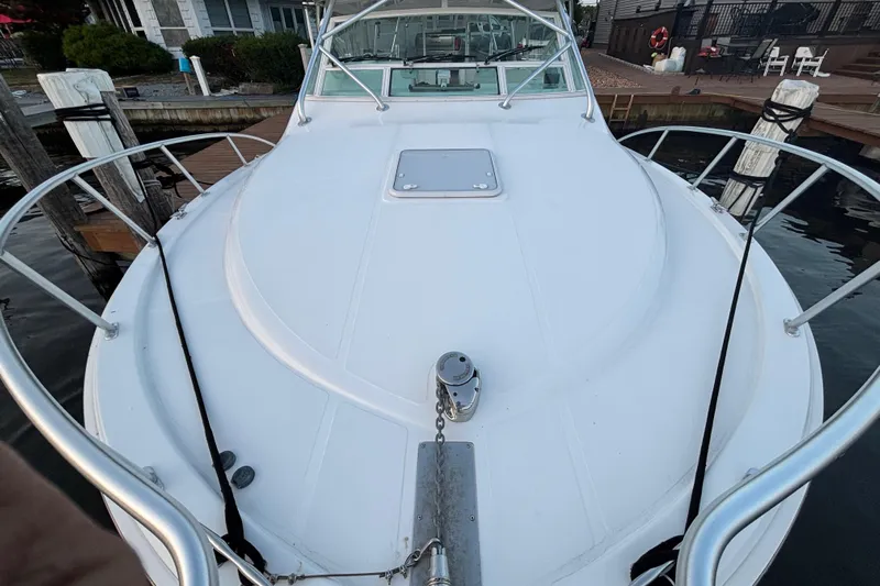  Yacht Photos Pics 2010 Cabo 36 Express boat docked, showcasing spacious deck and sleek design.