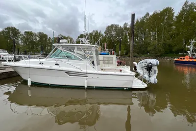 Pursuit 3400 Express
