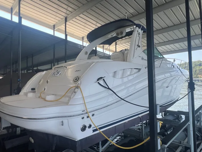 2006 Sea Ray 340 Sundancer Yacht Photos Pics 