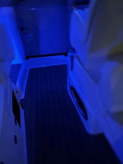 2006 Sea Ray 340 Sundancer Yacht Photos Pics 