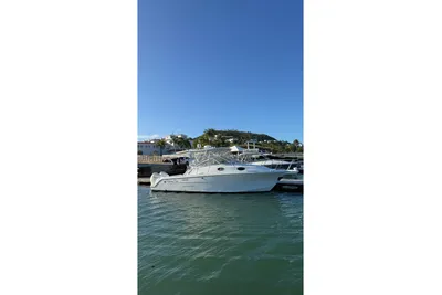 Wellcraft 290 Coastal