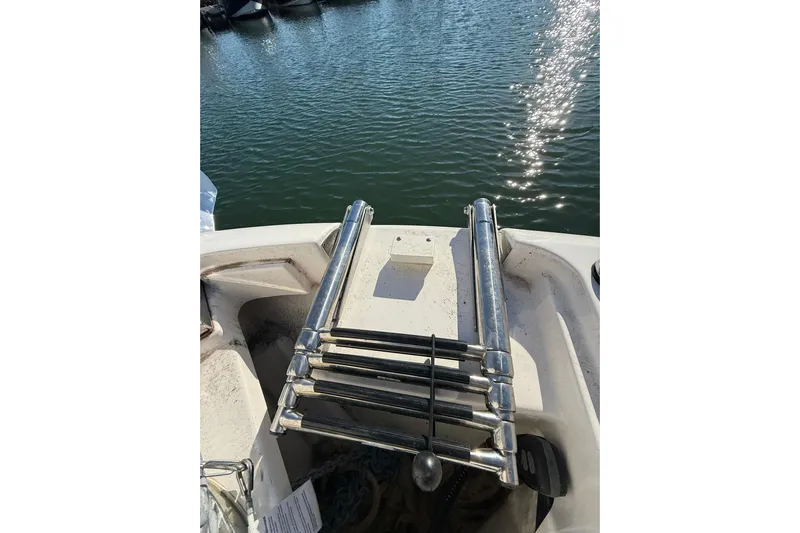  Yacht Photos Pics 2024 Pursuit DC 246 Dual Console boat ladder by the water.