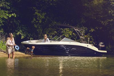 Sea Ray SPX 190 OB