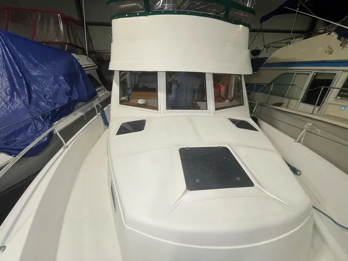 Desparado Yacht Photos Pics 