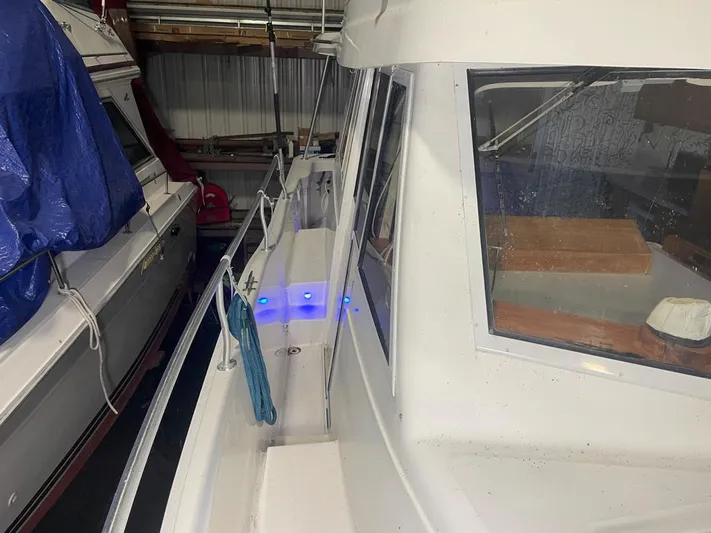 Desparado Yacht Photos Pics 