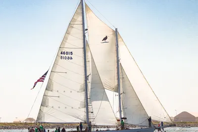 Custom Staysail Schooner