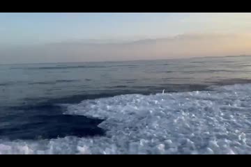 Video Placeholder
