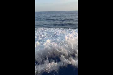 Video Placeholder