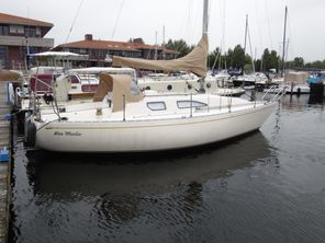 1990 Carter 301
