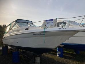 1995 Sea Ray 270 Sundancer