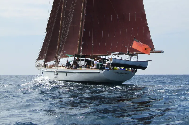Dallingho Yacht Photos Pics 