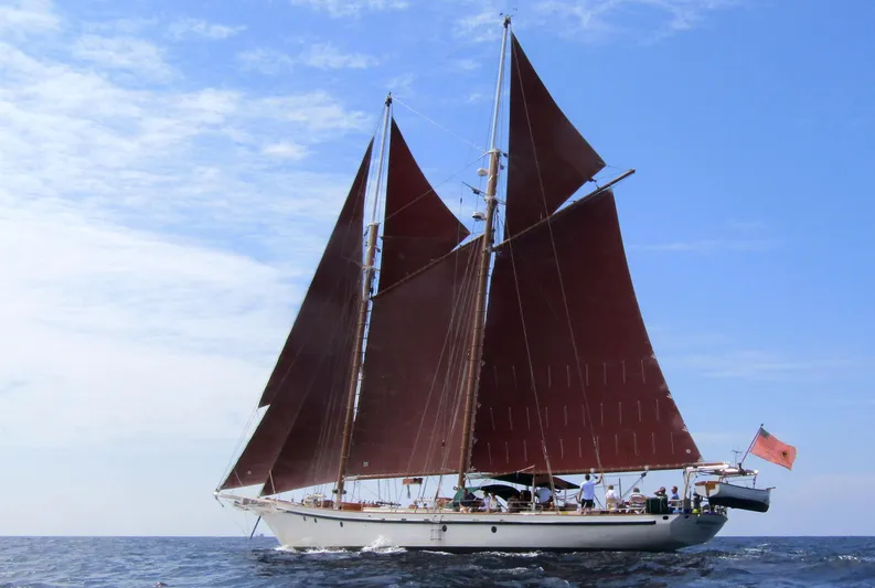 Dallingho Yacht Photos Pics 