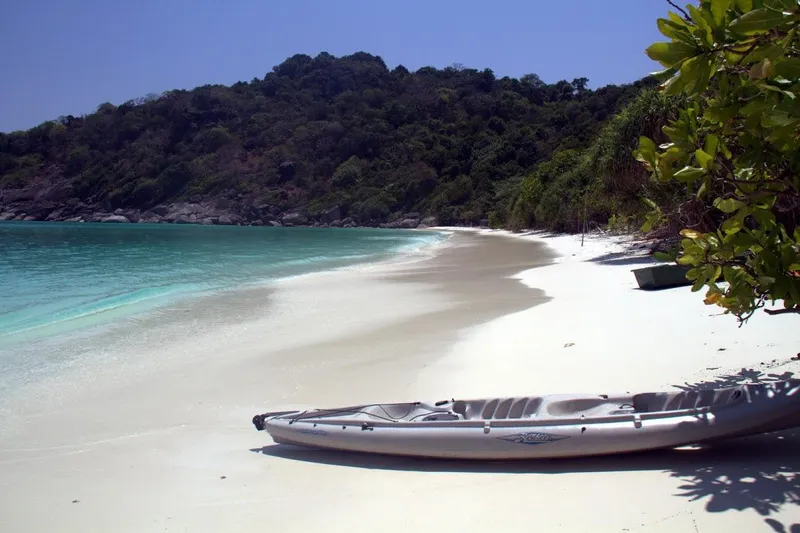 Dallingho Yacht Photos Pics 