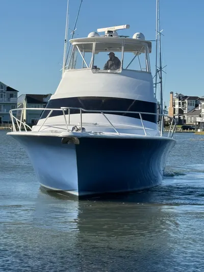 Turnin Fins Yacht Photos Pics 