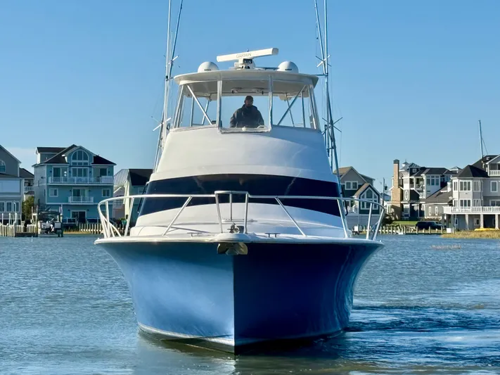 Turnin Fins Yacht Photos Pics 