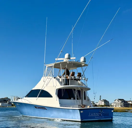 Turnin Fins Yacht Photos Pics 