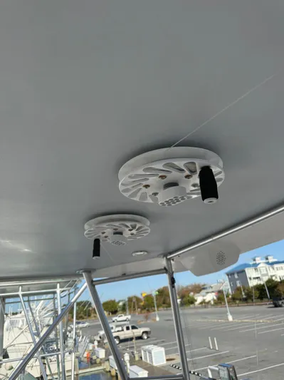 Turnin Fins Yacht Photos Pics 